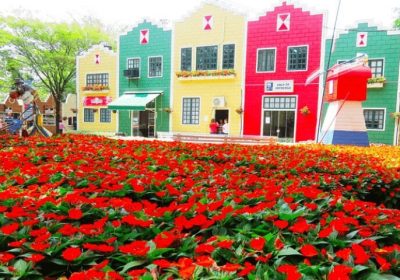 Passeios de um dia a partir de São Paulo