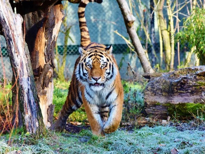 xr:d:DAFZ6-tuZ3Y:914,j:4363265460530127514,t:23091817