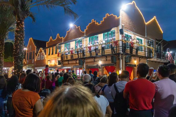 City Tour e Passeio de Natal em Holambra