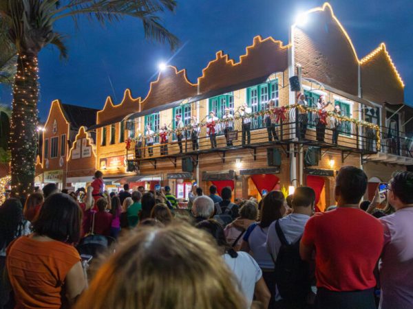 City Tour e Passeio de Natal em Holambra