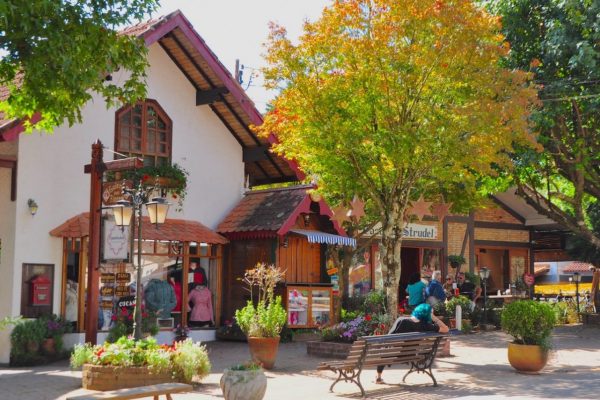 City Tour e Passeio de Natal Monte Verde