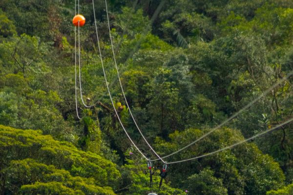 Tirolesa Voo da Serra e Passeio Estrada Velha de Santos